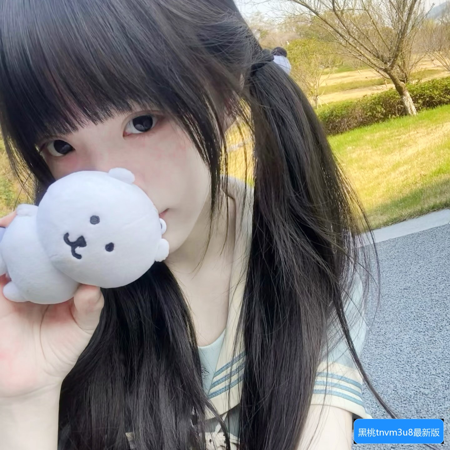 黑桃tnvm3u8最新版本怎么下载安装及常见问题解答